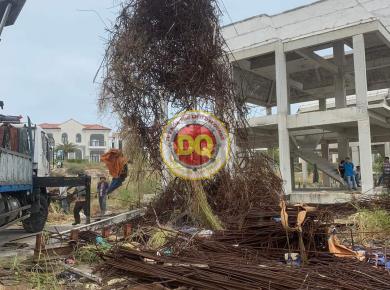 Thu mua phế liệu các khu công nghiệp ở Thái Bình, hoa hồng cao